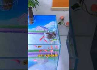  Whose Fish Farming Doesn T Have A Professional Job Fishraising Feedingcircle Fishraisingdaily