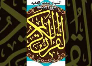 الشيخ محمد الفقيه سورة فصلت Abwshayifjaber7