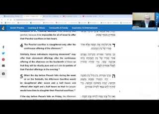 Rambam Offerings