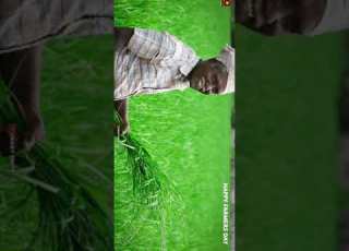  Happy Farmers Day WhatsApp Status Full Screen Crazy Editz