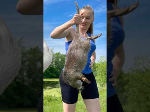 Cooking A Giant Rat Turning The Unthinkable Into A Feast Cooking Asmr Garden Giantrat