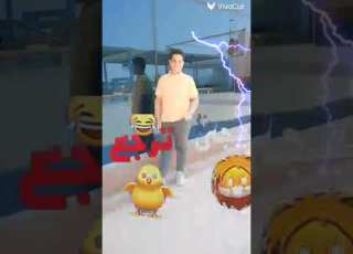  بنجور هلعب جوله وطفى النور فيديوهات قصيرة Shorts فيديوهات متنوعه