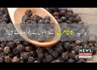 کیا آپ کالی مرچ کے استعمال کے یہ فوائد جانتے ہیں