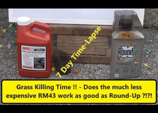 Round Up Weed Killer Vs RM43 Save Some Money And Still Get The Same Results