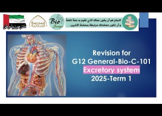  Revision For G12 General Bio C 101 Excretory System 2025 Term 1 Part 2