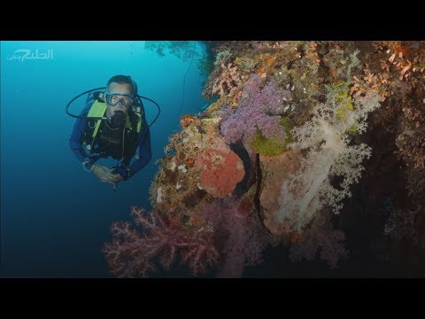 عروس السودانية واجهة سياحية لنشاط الموساد