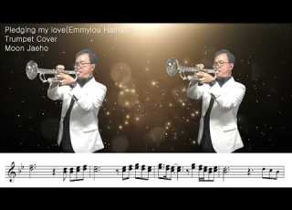  Pledging My Love Emmylou Harris Trumpet Cover Moon Jaeho