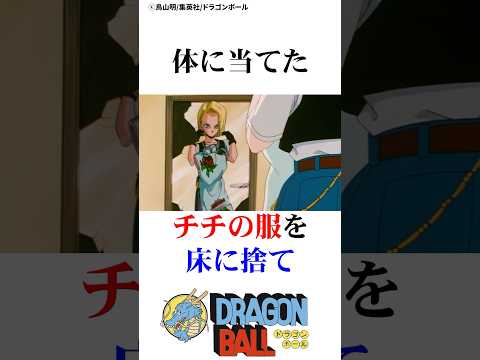 18号のひとりファッションショー ドラゴンボール