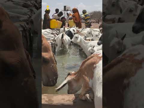 Water Is Life In Wajir Kenya
