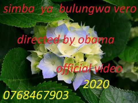 SIMBA YA BULUNGWA NYIMBO YA VERO Officil Video Director Obama