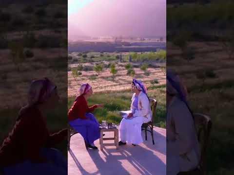 بقعة ضوء غناء صفاء سلطان أمل عرفة تابعوني حلمي1000مشترك ستوريات ياستي يا ختيارة دقةقديمة