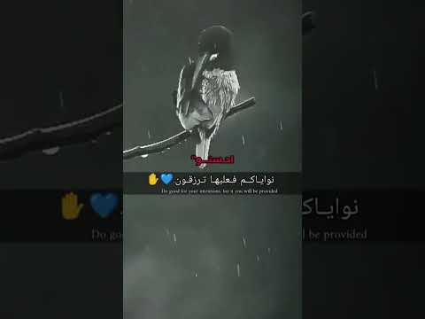 نغمات رنين للموبايل احلى رنات الهاتف 2023 اجمل نغمة رنين هاتف 2023 اجمل موسيقى حزينه