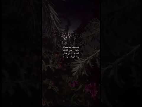 انت قمره في سمايا