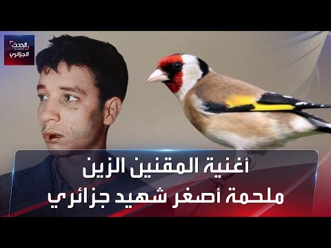 أغنية المقنين الزين ملحمة أصغر شهيد جزائري