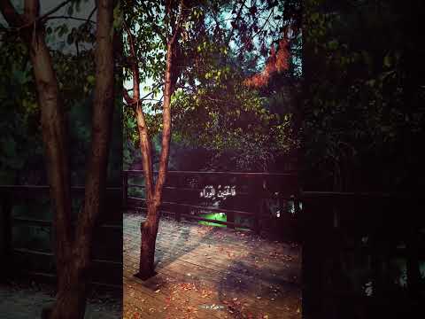 ل ي ت ل و ث م ج ه از ي ر ج ع م اض ي ز م ان ي ل ي ت ل و ث م ج ه از ي ر ج ع م اض ي ز م ان ي