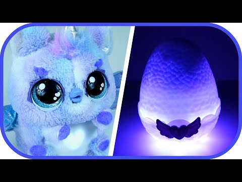 Hatchimals The Big Hatchimals Alive Egg Who Will Hatch From The Egg A Hatchimals Pet