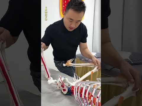 Master The Art Of Massage In Just 5 Steps Master The Art Of Massage In Just 5 Steps