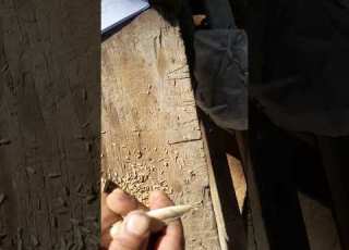 Aminihu Shikimithe Keu