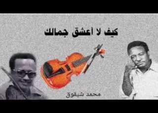 صولو كيف لا اعشق جمالك