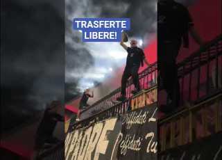 TRASFERTE LIBERE CAVESE Shorts Ultras