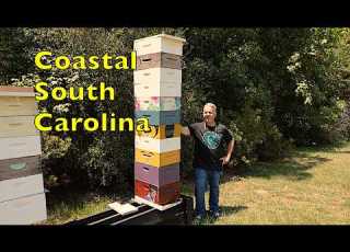 Beekeeping In Coastal South Carolina