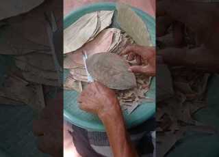 බ ඩ ඔතන න ම හ මය Talk With Saffron Beedi Shansilva Shortvideo Short Bidi