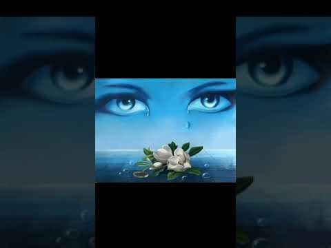 عينيا بتحبك تامر حسني