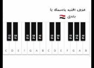 عزف اغنيه باسمك يا بلدى رايحين رايحين         