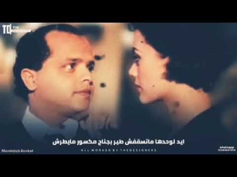 اغنية ايد لوحدها متسقفش همام فى امستردام