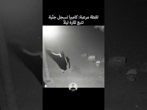 ظهور جن ية في الشارع لقطات كاميرا مراقبة مرعبة جن ظهور جن ية في الشارع لقطات كاميرا مراقبة مرعبة جن