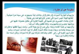 عنترة الفصل الثالث