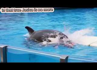 Truth Behind Jessica S Death Incident