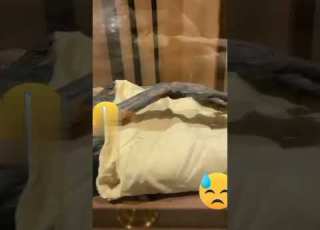 فرعون کی لاش