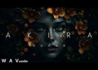  A K I R A Gentle Breeze Original Mix