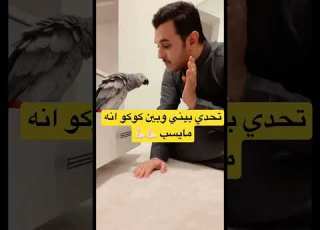  سعيد بن تركي تحدي بيني وبين كوكو انه مايسب