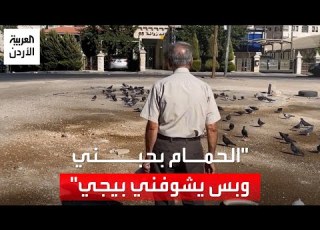  الحمام بحبني وبس يشوفني بيجي الأردني بدر الربضي يواضب على إطعام الطيور في شوارع عم ان