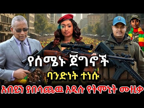 አብይን ያበ ሳጨዉ እና አነጋጋሪው አዲሱ የትምኒት ሙዚቃ ተለቀቀ የሰሜኑ ጀግኖች ባንድነት ተነሱ Tigray Music 2026
