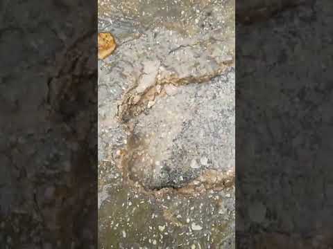 ماسورة مياه مكسورة في البلقاء