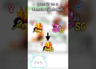 Shiny Hunting In Pokemon Generation 2 Shiny Breeding