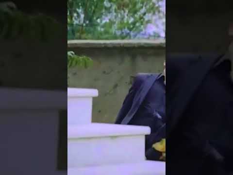 садокат харакатхои шохин