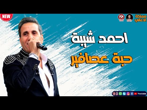 جديد 2022 اغنية احمد شيبة حبة عصافير جديد 2022 اغنية احمد شيبة حبة عصافير