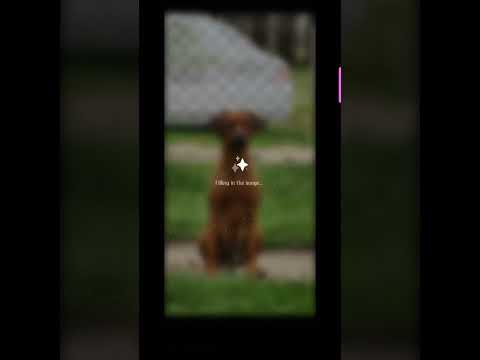 Just Get A Samsung Already