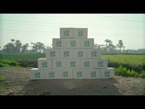 خليك عارف إن الخير هيفضل يلف طول ما إحنا كتف في كتف خليك