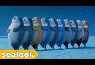 Bedtime Workout ㅣSEALOOKㅣEP 20