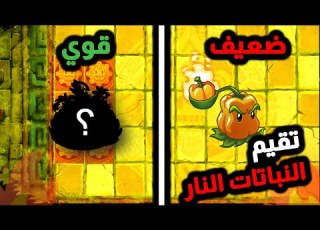 تقيم كل نباتات النار في لعبة Plants Vs Zombies 2