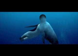  Happy Feet Do It Again The Beach Boys