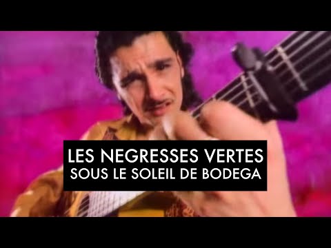Les Négresses Vertes Sous Le Soleil De Bodega Clip Officiel