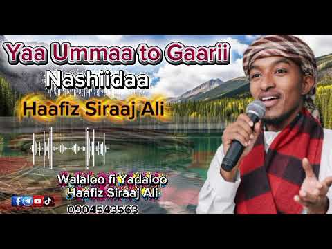 Nashiidaa Afaan Oromoo Haadha To Coming Soon