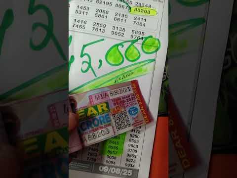 Evening Ticket Nagaland State Lottery Lottery Viral Shortvideo