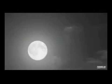 أغاني النايلي القديم شاب حميدة يا نا قلبي راح داتو